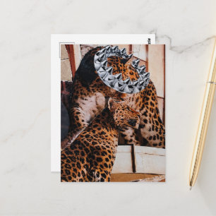 Königliche Großkatzen-Collage Postkarte