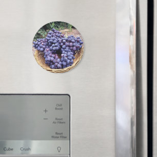 Königliche Lila Trauben Magnet