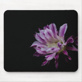 Königliche Lila und weiße Kakteen blühen Mousepad