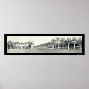 Königliche Palmen-Miami Florida-Foto 1921 Poster