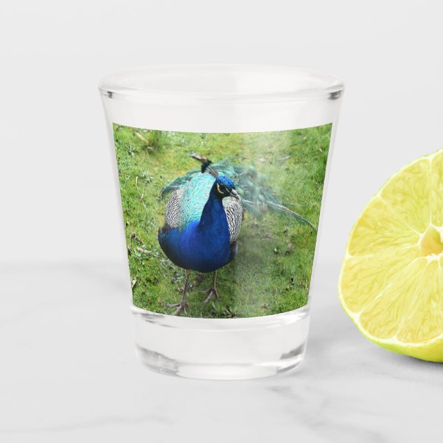 Königliche Pfauenpower  Schnapsglas (Vorderseite)
