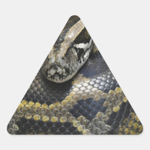 "Königliche Pythonschlange " Dreieckiger Aufkleber