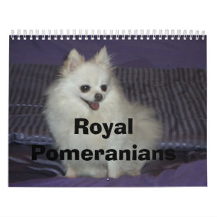 Königliche Spitze Kalender