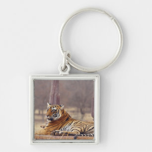 Königlicher Bengal-Tiger am Ceaph, Schlüsselanhänger