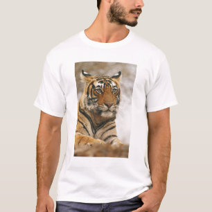 Königlicher Bengal-Tiger auf dem Felsen, Ranthambh T-Shirt