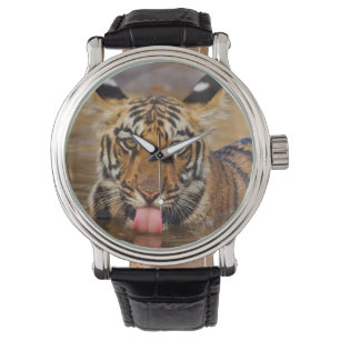 Königlicher Bengal-Tiger-Jungtier, Wasser trinkend Armbanduhr