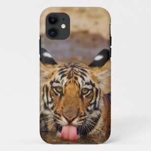Königlicher Bengal-Tiger-Jungtier, Wasser trinkend Case-Mate iPhone Hülle