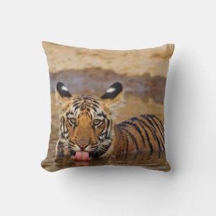 Königlicher Bengal-Tiger-Jungtier, Wasser trinkend Kissen
