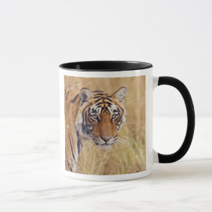 Königlicher Bengal-Tiger Tasse