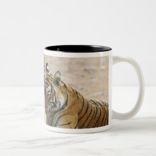 Königlicher Bengal-Tiger und Jungtier - Berührung  Zweifarbige Tasse