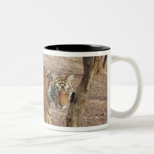Königlicher bengalischer Tiger, der aus Waldland Zweifarbige Tasse