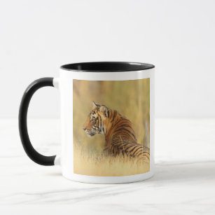 Königlicher bengalischer Tiger, der außerhalb Tasse