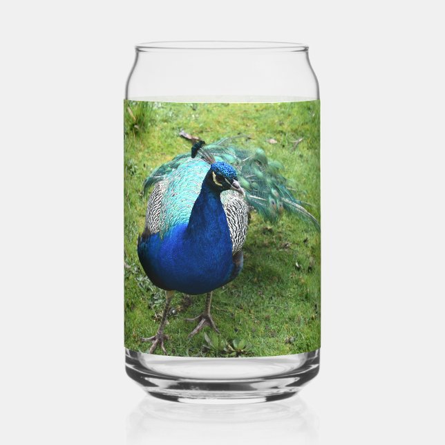 Königlicher Pfau-Power Dosenglas (Vorderseite)
