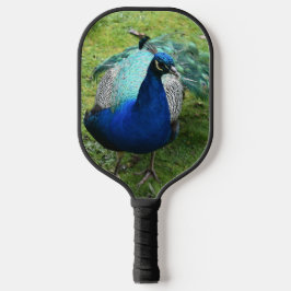 Königlicher Pfau-Power Pickleball Schläger