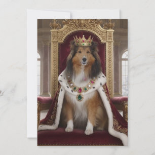 Königlicher Sheltie Einladung