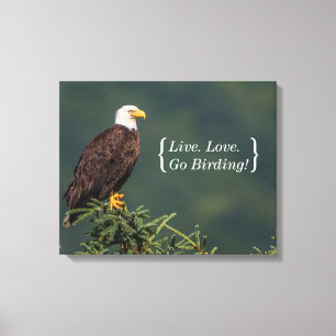 Königlicher Weißkopfseeadler Leinwanddruck