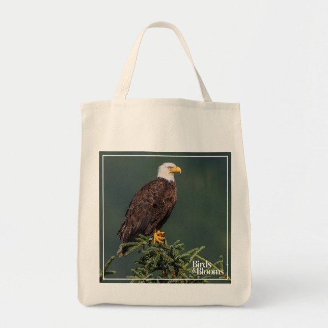 Königlicher Weißkopfseeadler Tragetasche (Vorne)