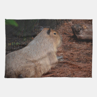 königliches Capybararückseiten-Ansichttier Küchentuch