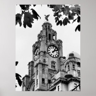 Königliches Leber-Gebäude Liverpool Poster