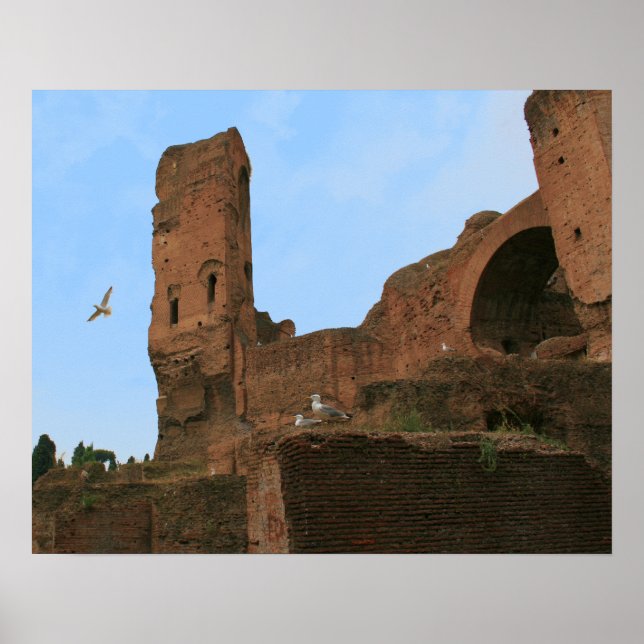 Königreich der Möwen Poster (Vorne)