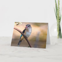 Königsfisch aus Holz, Botsuana