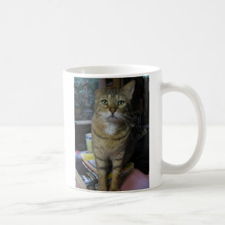 Königsfisch Kaffeetasse