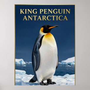 🐧 Königspinguin Antarktika Wildtiere Poster