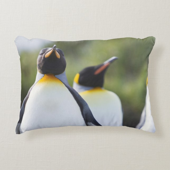 Königspinguine Dekokissen (Vorderseite)