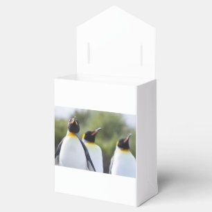 Königspinguine Geschenkschachtel
