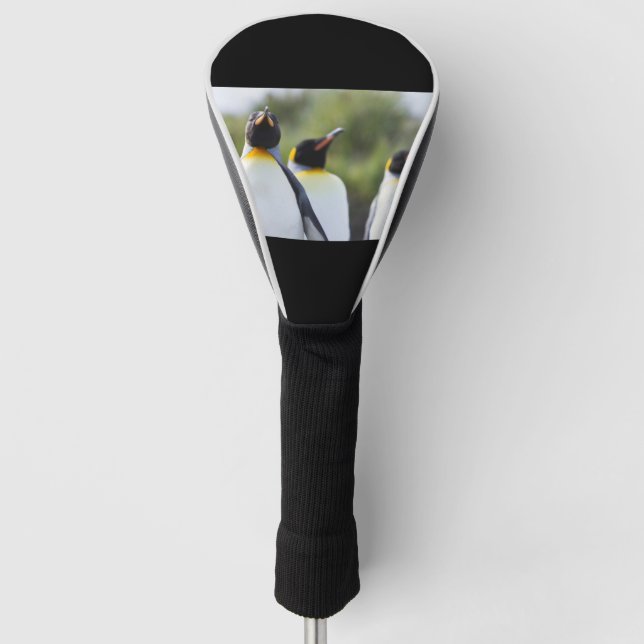 Königspinguine Golf Headcover (Vorderseite)