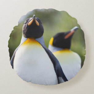 Königspinguine Rundes Kissen