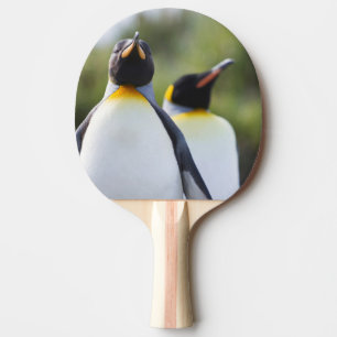 Königspinguine Tischtennis Schläger