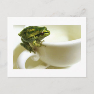 Königszeit Postkarte