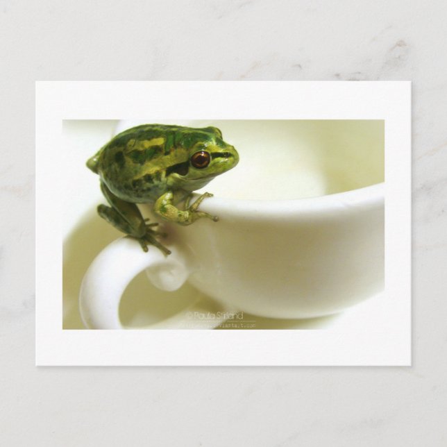 Königszeit Postkarte (Vorderseite)