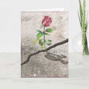 Konkrete Rose Karte