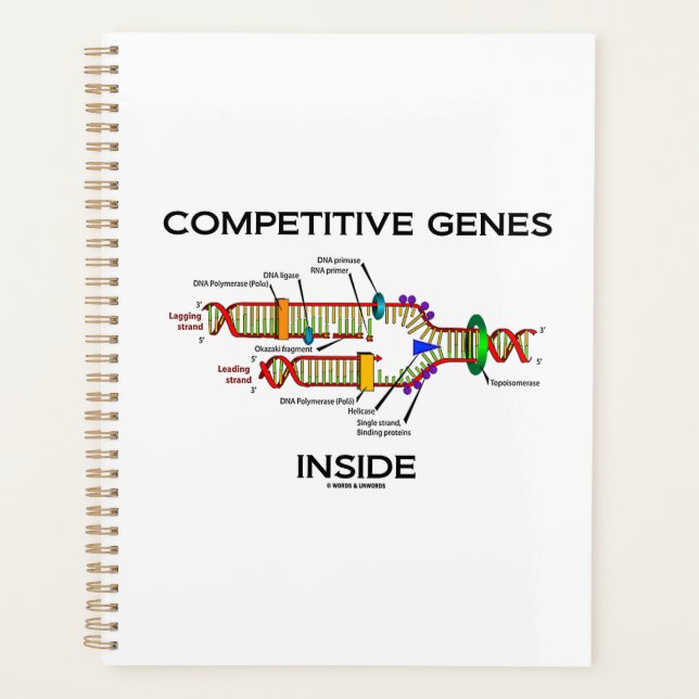 Konkurrenzfähige Gene innerhalb des DNA-Replikatio Planer (Vorderseite)