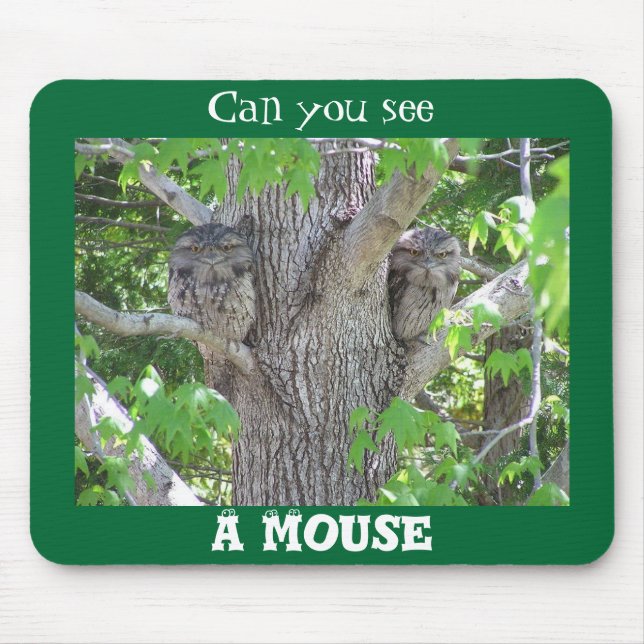 Können Sie eine Maus sehen? Mousepad (Vorne)