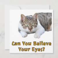 Können Sie Ihre Augen Niedliche Katzenkunst glaube