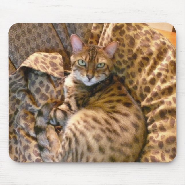 Können Sie mich sehen? Mousepad (Vorne)