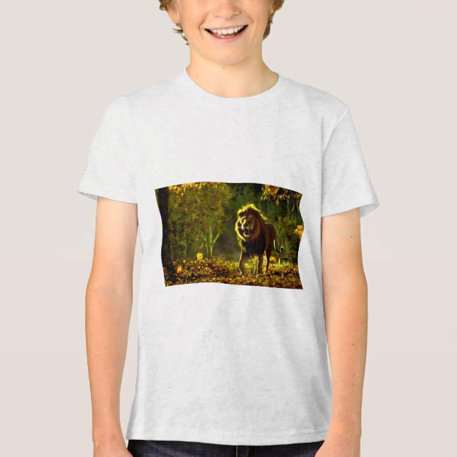 Könnten Sie klarstellen, welche Art von Titel Sie  Tri-Blend Shirt (Vorderseite)