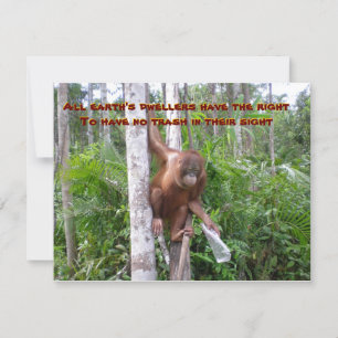 Konservierung, keine Plastikverschmutzung Karte