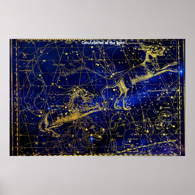 Konstellation des Luchses Poster (Vorne)