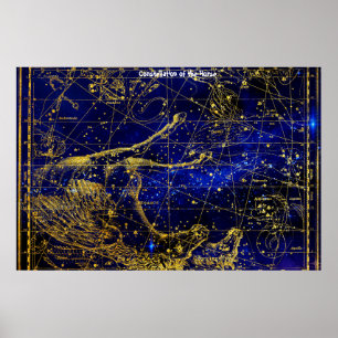 Konstellation des Pferdes Poster