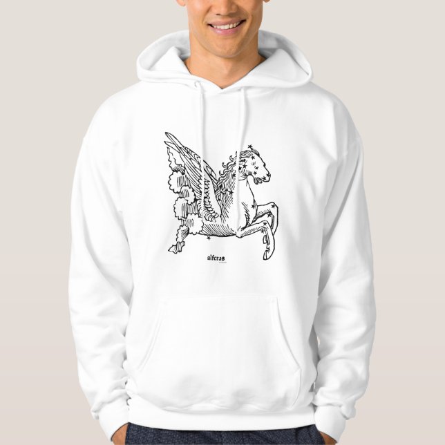 Konstellation: Pegasus Hoodie (Vorderseite)