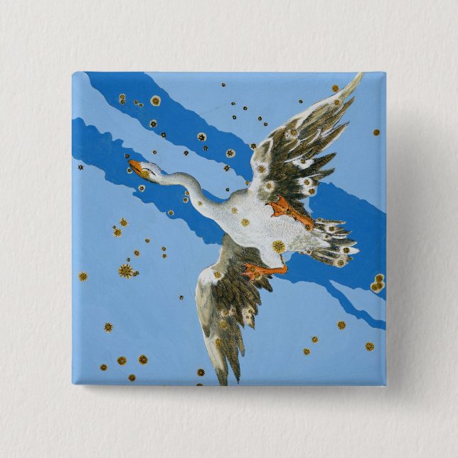 Konstellation von Cygnus, von "Uranometria" writte Button (Vorderseite)