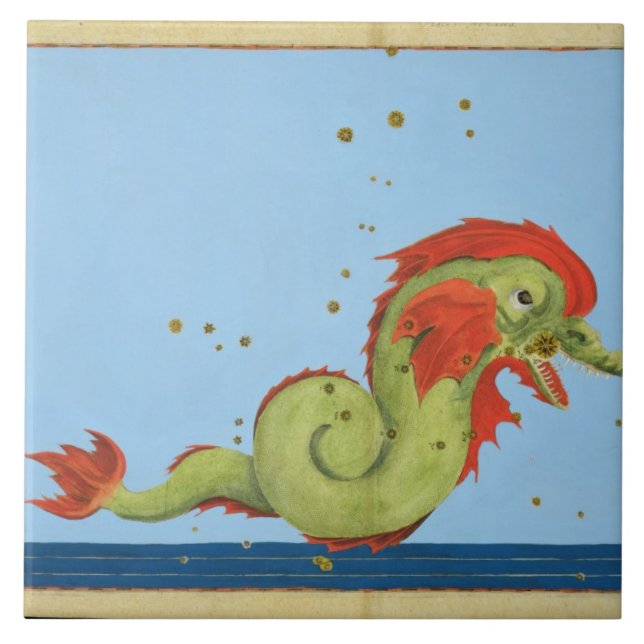 Konstellation von Fischen, von "Uranometria" durch Fliese (Vorderseite)