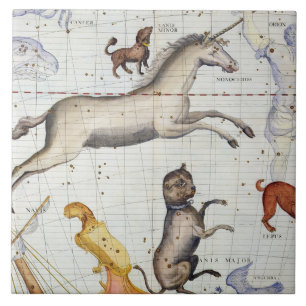 Konstellation von Monoceros mit Canis-Major und MI Fliese