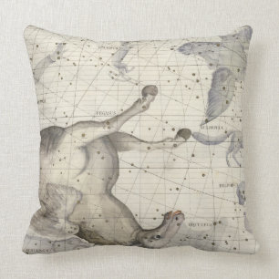 Konstellation von Pegasus, überziehen 25 'vom Kissen