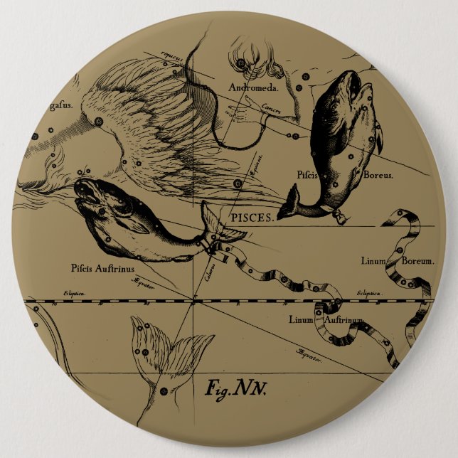 Konstellation von Pisces Hevelius um 1690 Button (Vorderseite)