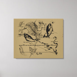 Konstellation von Pisces Hevelius um 1690 Leinwanddruck